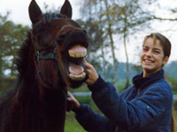 Foto bij Andrea Luten