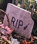 Foto bij Phil Lynott