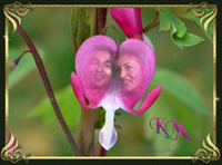 Foto bij Kariem Gharis